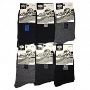 BFL ����� ������������ ������ ����� 